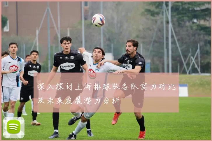 深入探讨上海排球队各队实力对比及未来发展潜力分析