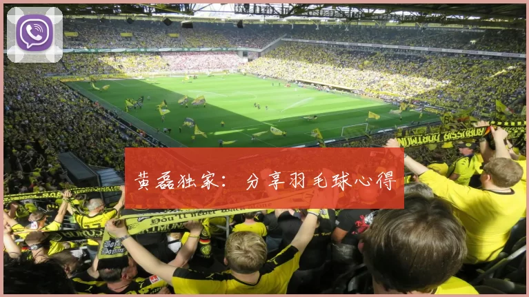 黄磊独家：分享羽毛球心得