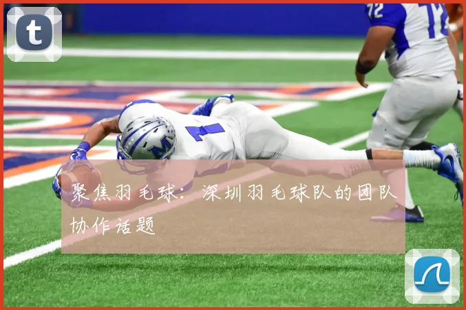 聚焦羽毛球：深圳羽毛球队的团队协作话题