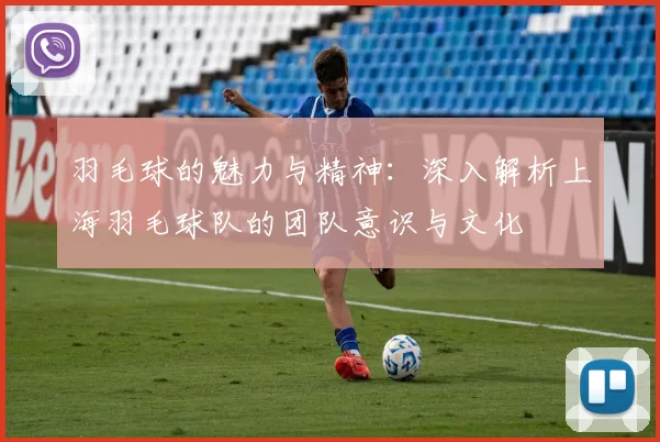 羽毛球的魅力与精神：深入解析上海羽毛球队的团队意识与文化